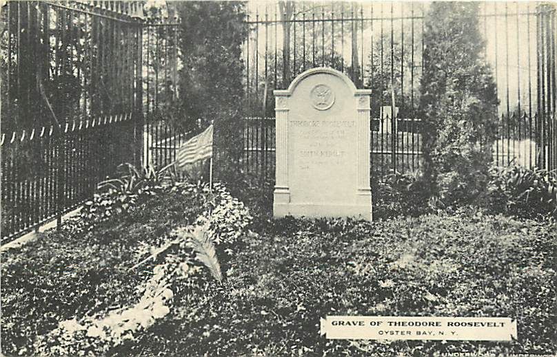 NY OYSTER BAY TEDDY ROOSEVELTS GRAVE ALBERTYPE R28211  